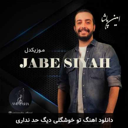 دانلود اهنگ تو خوشگلی دیگه حد نداری امین پاشا
