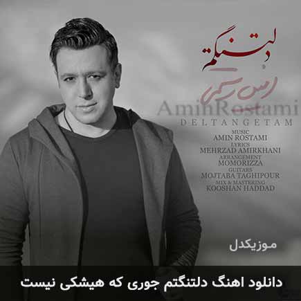 دانلود اهنگ دلتنگتم جوری که هیشکی نیست امین رستمی