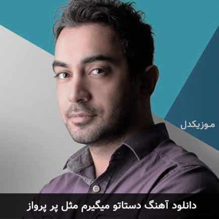 دانلود اهنگ دستاتو میگیرم مثل پر پرواز امیر یگانه