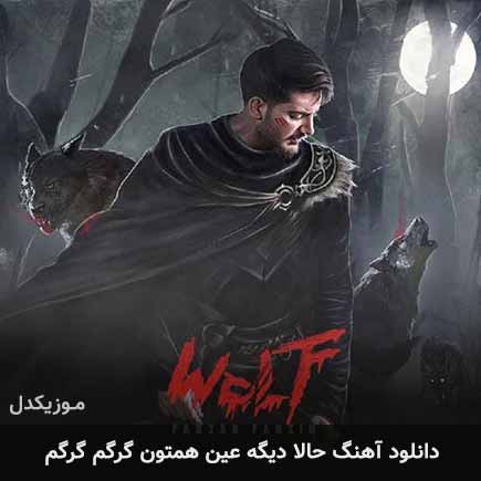 دانلود اهنگ حالا دیگه عین همتون گرگم گرگم فرزاد فرزین
