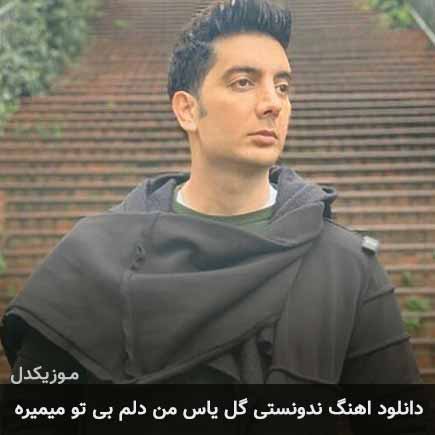 دانلود اهنگ ندونستی گل یاس من دلم بی تو میمیره فرزاد فرزین