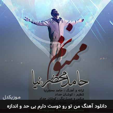 دانلود اهنگ من تو رو دوست دارم بی حد و اندازه حامد محضرنیا