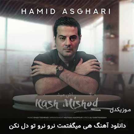 دانلود اهنگ هی میگفتمت نرو نرو تو دل نکن حمید اصغری