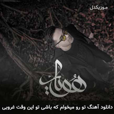 دانلود اهنگ تو رو میخوام که باشی تو این وقت غروبی هویار