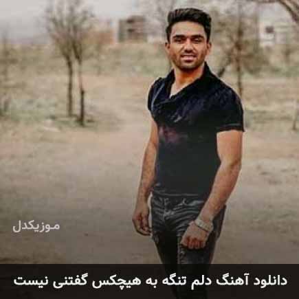 دانلود اهنگ دلم تنگه به هیچکس گفتنی نیست حسین رستمی