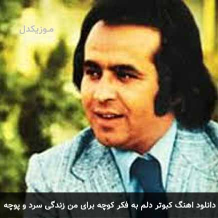 دانلود اهنگ کبوتر دلم به فکر کوچه برای من زندگی سرد و پوچه ایرج مهدیان