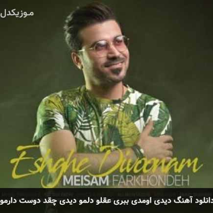 دانلود اهنگ دیدی اومدی ببری عقلو دلمو دیدی چقد دوست دارمو میثم فرخنده