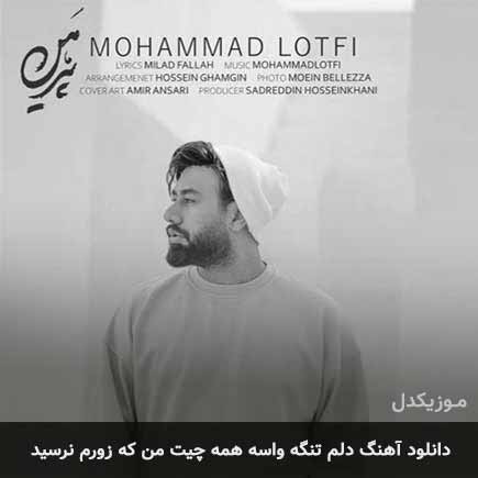 دانلود اهنگ دلم تنگه واسه همه چیت من که زورم نرسید محمد لطفی