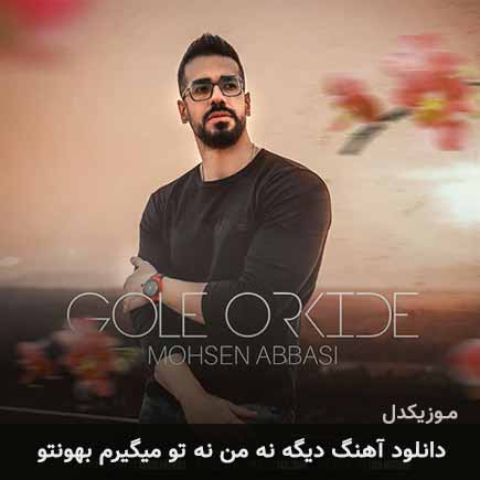 دانلود اهنگ دیگه نه من نه تو میگیرم بهونتو محسن عباسی
