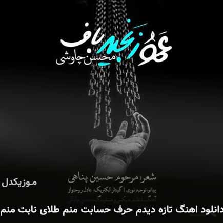 دانلود اهنگ تازه دیدم حرف حسابت منم طلای نابت منم محسن چاوشی