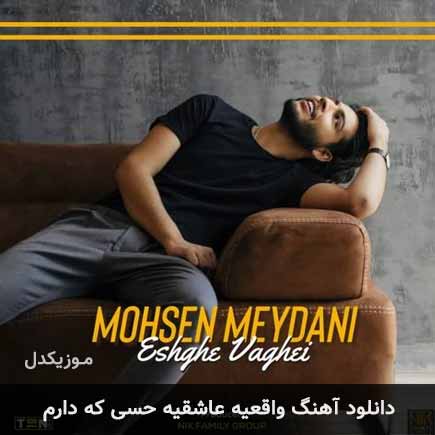 دانلود اهنگ واقعیه عاشقیه حسی که دارم محسن میدانی