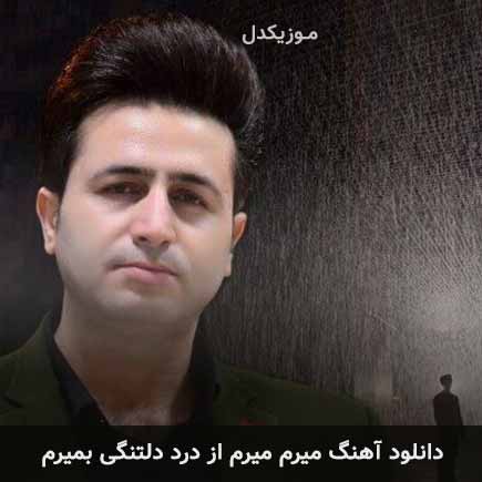 دانلود اهنگ میرم میرم از درد دلتنگی بمیرم مرتضی جعفرزاده