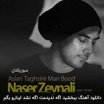 دانلود اهنگ ببخشید اگه ندیدمت اگه نشد اینارو بگم ناصر زینعلی