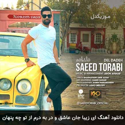 دانلود اهنگ ای زیبا جان عاشق و در به درم از تو چه پنهان سعید ترابی
