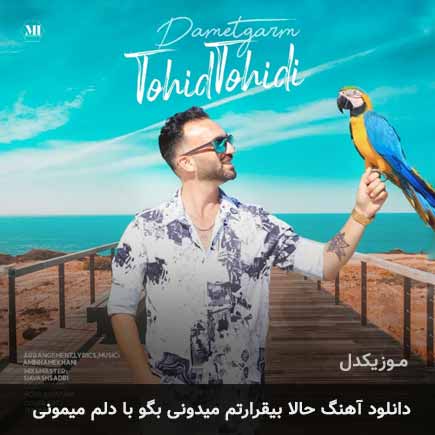 دانلود اهنگ حالا بیقرارتم میدونی بگو با دلم میمونی توحید توحیدی