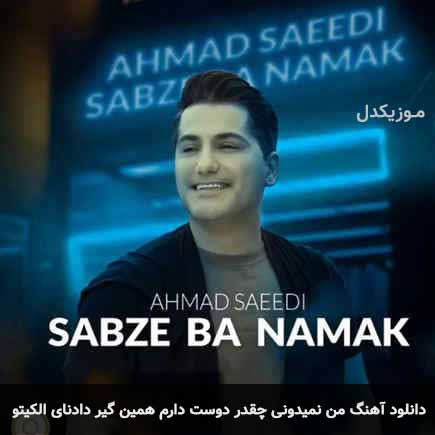 دانلود اهنگ من نمیدونی چقدر دوست دارم همین گیر دادنای الکیتو احمد سعیدی