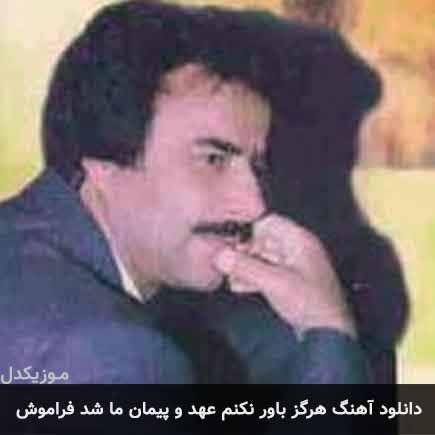 دانلود اهنگ هرگز باور نکنم عهد و پیمان ما شد فراموش علیرضا افتخاری