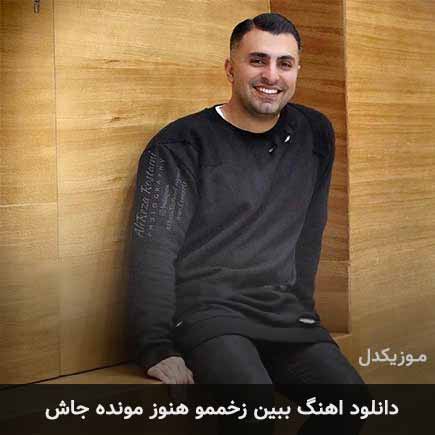 دانلود اهنگ ببین زخممو هنوز مونده جاش علیرضا طلیسچی