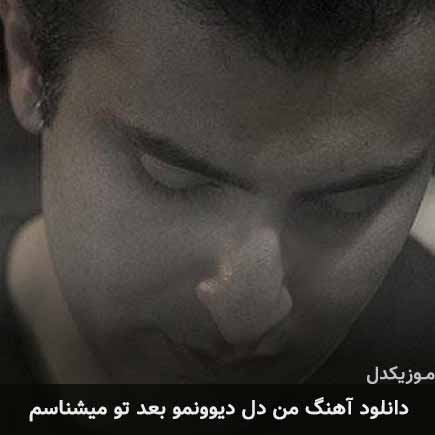 دانلود اهنگ من دل دیوونمو بعد تو میشناسم علیرضا طلیسچی