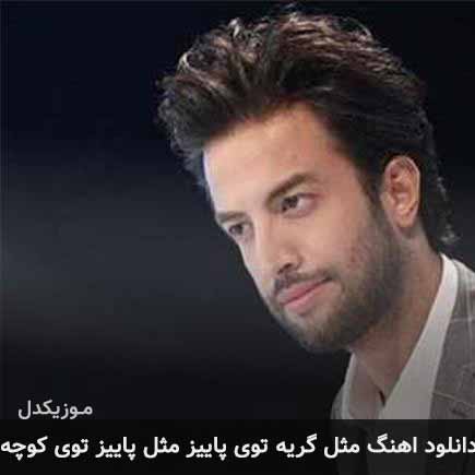 دانلود اهنگ مثل گریه توی پاییز مثل پاییز توی کوچه بنیامین بهادری