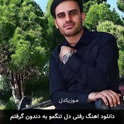 دانلود اهنگ رفتی دل تنگمو به دندون گرفتم داوود یونسی