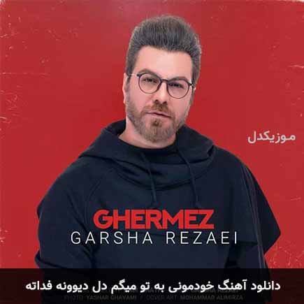 دانلود اهنگ خودمونی به تو میگم دل دیوونه فداته گرشا رضایی