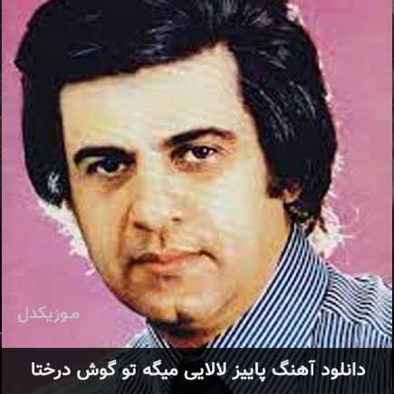 دانلود اهنگ پاییز لالایی میگه تو گوش درختا منوچهر سخائی