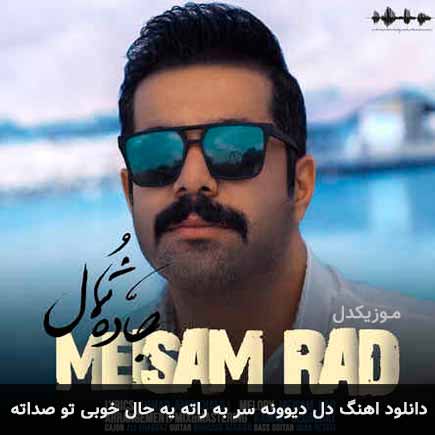 دانلود اهنگ دل دیوونه سر به راته یه حال خوبی تو صداته میثم راد