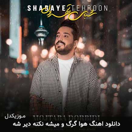 دانلود اهنگ هوا گرگ و میشه نکنه دیر شه مجتبی دربیدی