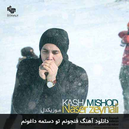 دانلود اهنگ فنجونم تو دستمه داغونم ناصر زینعلی