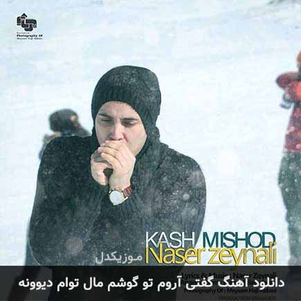 دانلود اهنگ گفتی آروم تو گوشم مال توام دیوونه ناصر زینعلی