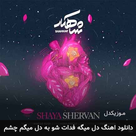 دانلود اهنگ دل میگه فدات شو به دل میگم چشم شایا شروان