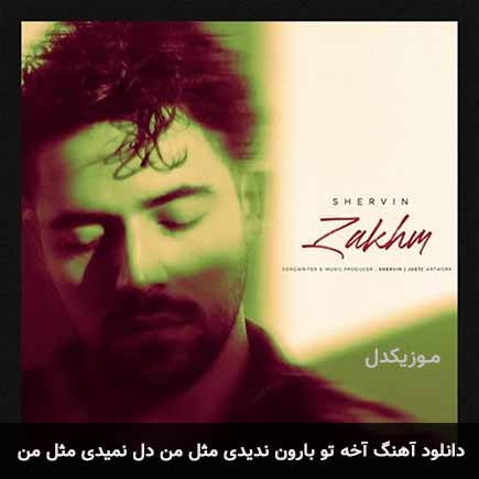 دانلود اهنگ آخه تو بارون ندیدی مثل من دل نمیدی مثل من شروین حاجی آقاپور