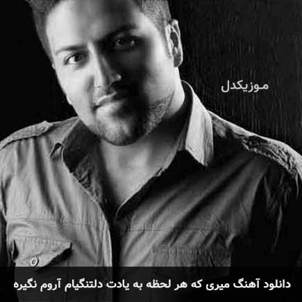 دانلود اهنگ میری که هر لحظه به یادت دلتنگیام آروم نگیره پویا بیاتی