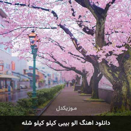 دانلود اهنگ الو بیبی کیلو کیلو شله دانلود اهنگ الو بیبی کیلو کیلو شله