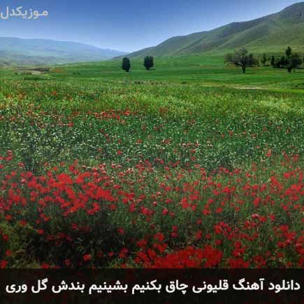 دانلود اهنگ قلیونی چاق بکنیم بشینیم بندش گل وری دانلود اهنگ قلیونی چاق بکنیم بشینیم بندش گل وری
