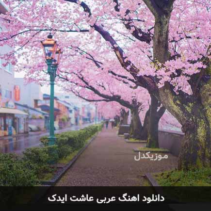 دانلود اهنگ عربی عاشت ایدک دانلود اهنگ عربی عاشت ایدک
