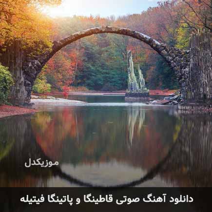 دانلود اهنگ صوتی قاطینگا و پاتینگا فیتیله