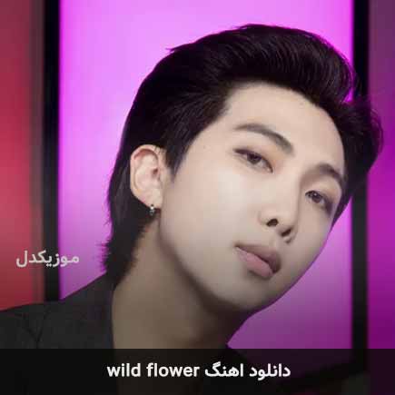دانلود اهنگ wild flower از آر ام RM