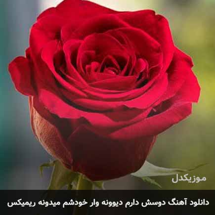 دانلود اهنگ دوسش دارم دیوونه وار خودشم میدونه ریمیکس
