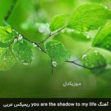 دانلود اهنگ you are the shadow to my life ریمیکس عربی