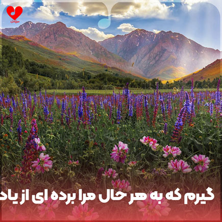 دانلود اهنگ گیرم که به هر حال مرا برده ای از یاد