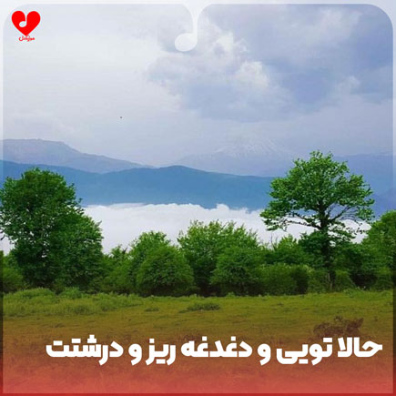 دانلود اهنگ حالا تویی و دغدغه ریز و درشتت دانلود اهنگ حالا تویی و دغدغه ریز و درشتت