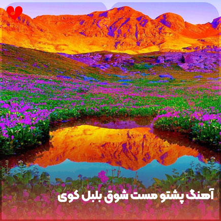 دانلود اهنگ پشتو مست شوق بلبل کوی دانلود اهنگ پشتو مست شوق بلبل کوی