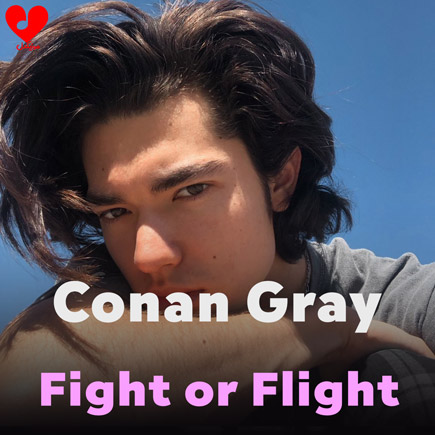 آهنگ Fight or Flight از Conan Gray
