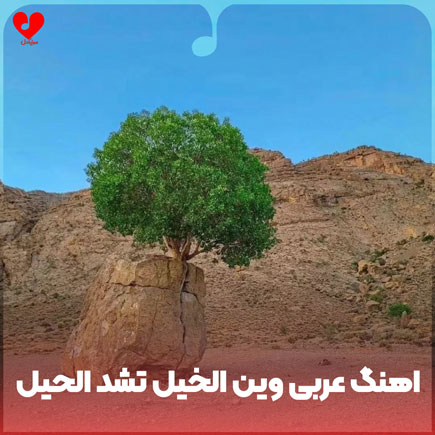 دانلود آهنگ عربی وین الخیل تشد الحیل از زجل لبنانی | متن کامل و اصلی – آب موزیک