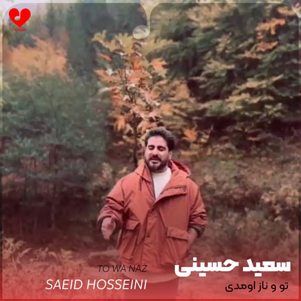 دانلود آهنگ تو و ناز اومدی از سعید حسینی