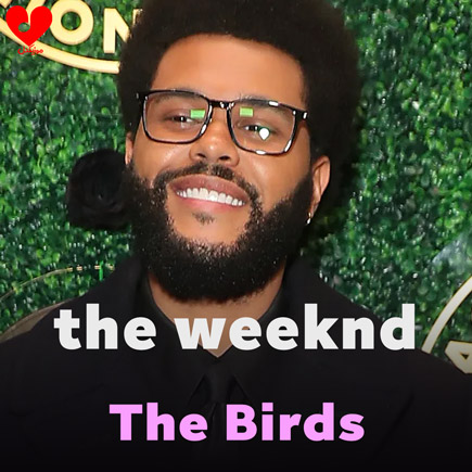 دانلود آهنگ The Birds Pt. 1 2 از The Weeknd دانلود آهنگ The Birds Pt. 1 2 از The Weeknd