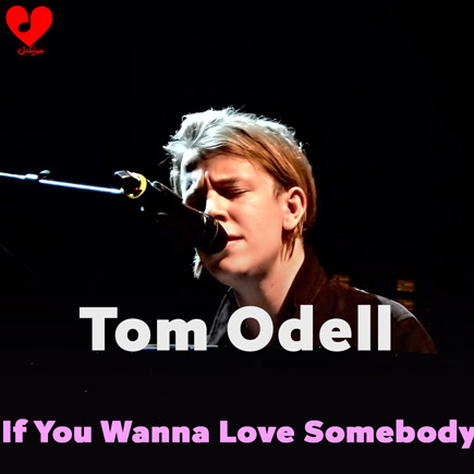 دانلود آهنگ If You Wanna Love Somebody از Tom Odell