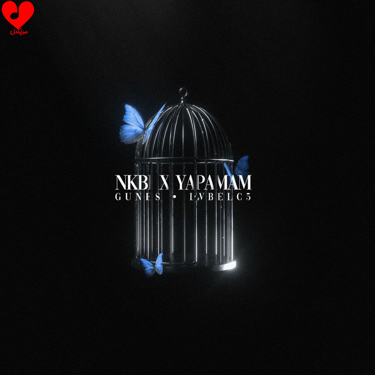 دانلود آهنگ NKBİ X YAPAMAM (Remix) از lvbel c5